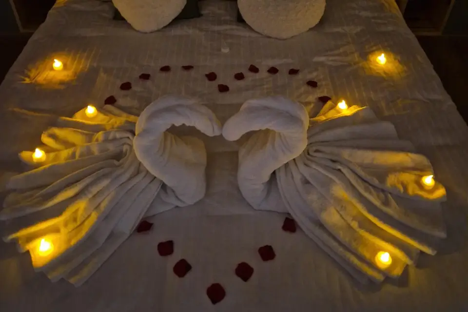 Les Gîtes du Bonheur — photo 3