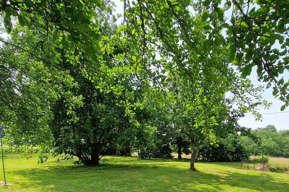 Les Gîtes du Bonheur — photo 4