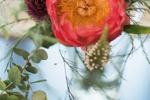 Art Alia — photo 3