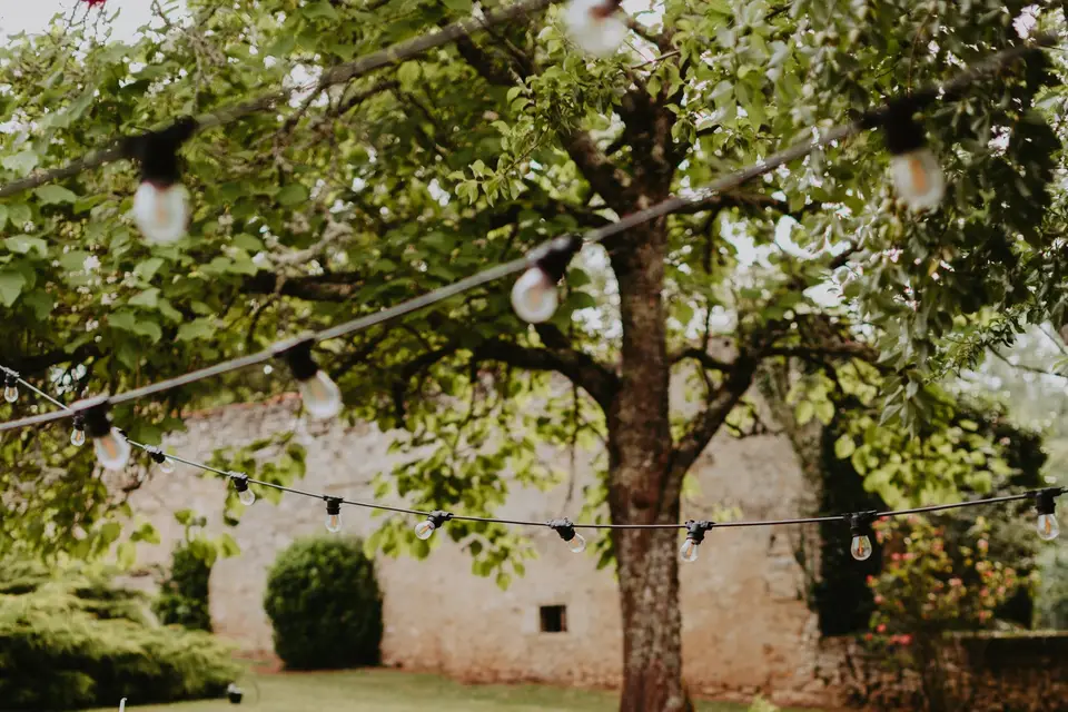 Art Alia — photo 6