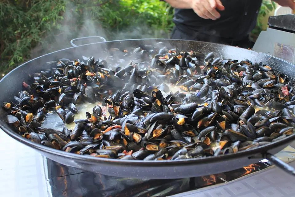 Le Pilota — photo 1