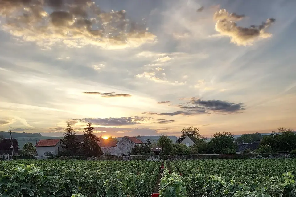 Champagne Leguillette Romelot — photo 5