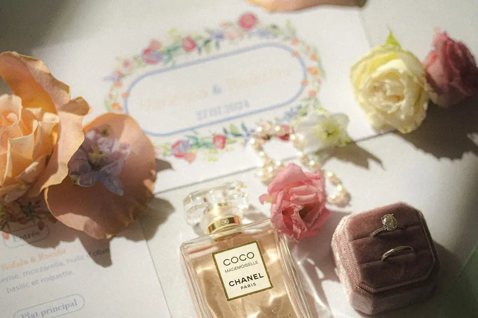 Alphaa Collection — photo 1