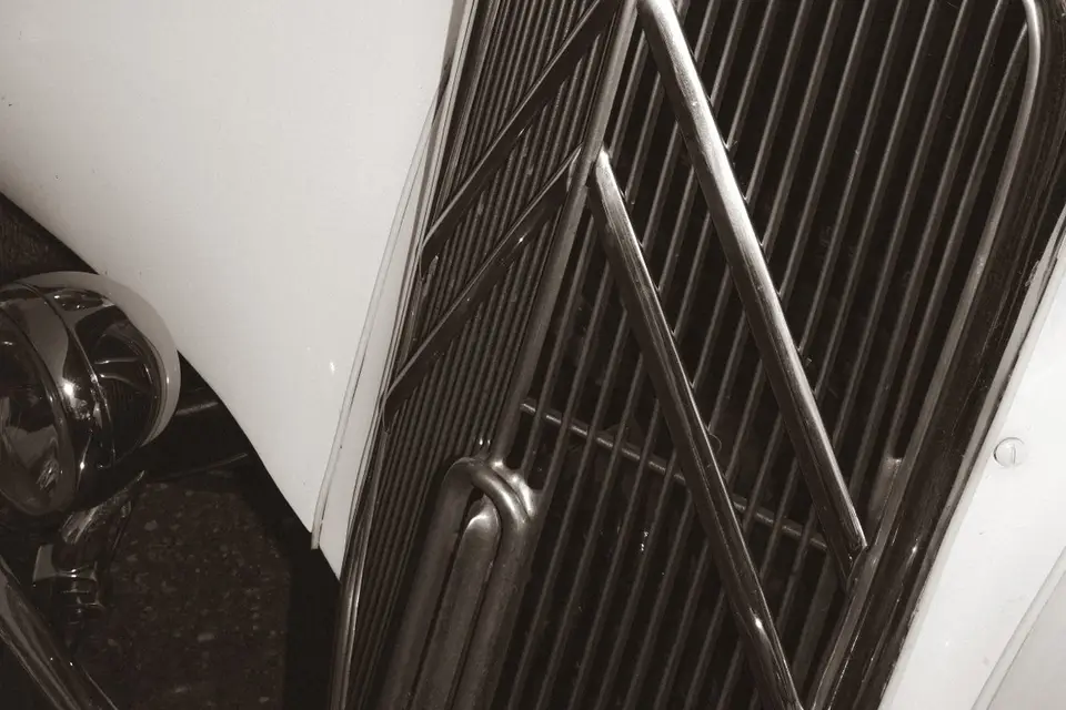 Alphaa Collection — photo 5