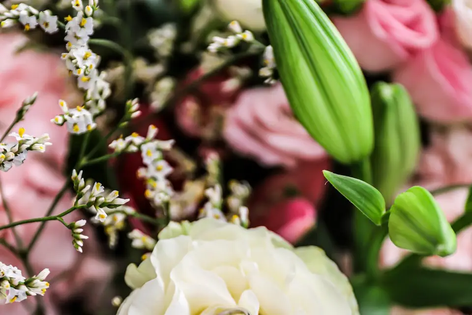 La fabrique à souvenirs — photo 1