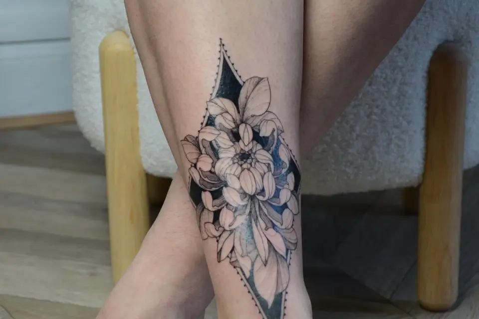 Nolwenn Studio — photo 2