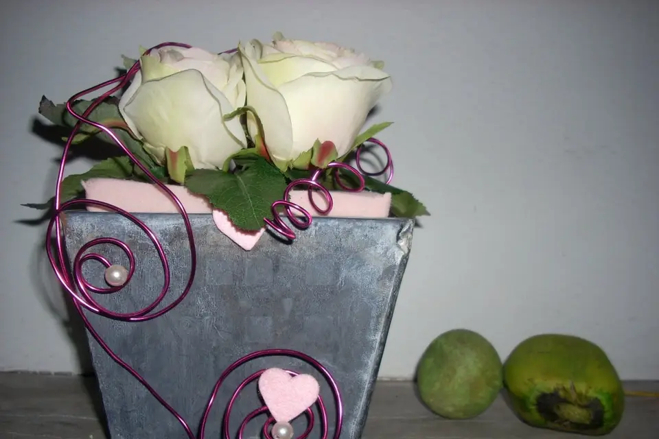 Les Jardins de Picardie — photo 2