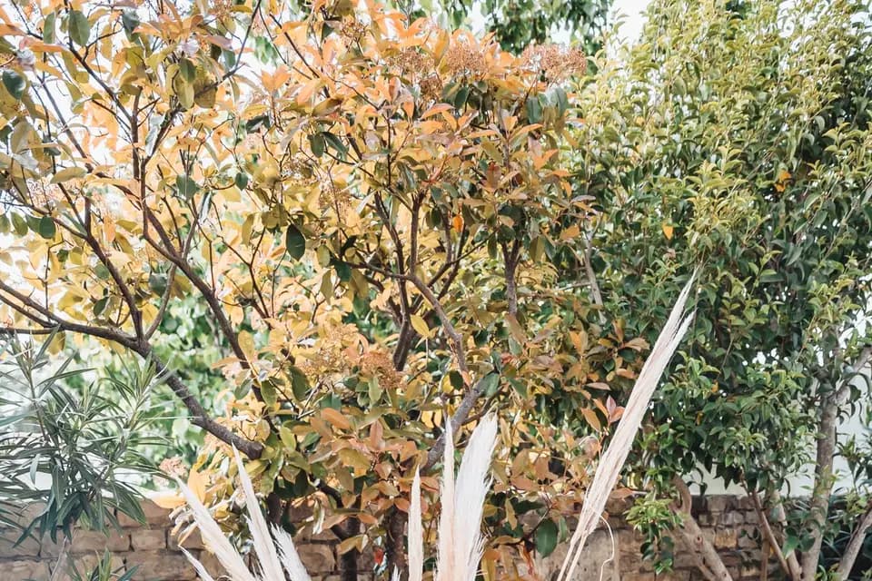 Île de Ré Wedding — photo 5