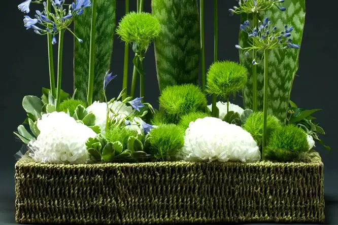 Les Jardins de Picardie