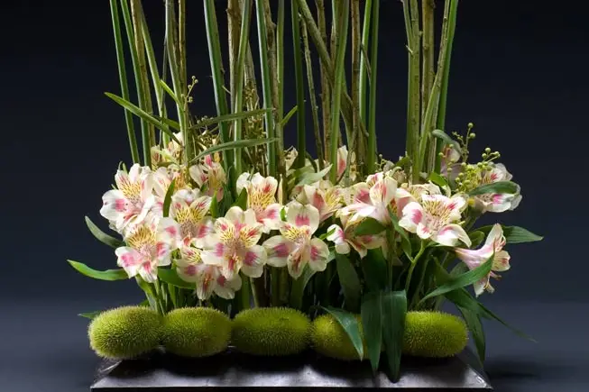 Les Jardins de Picardie — photo 8