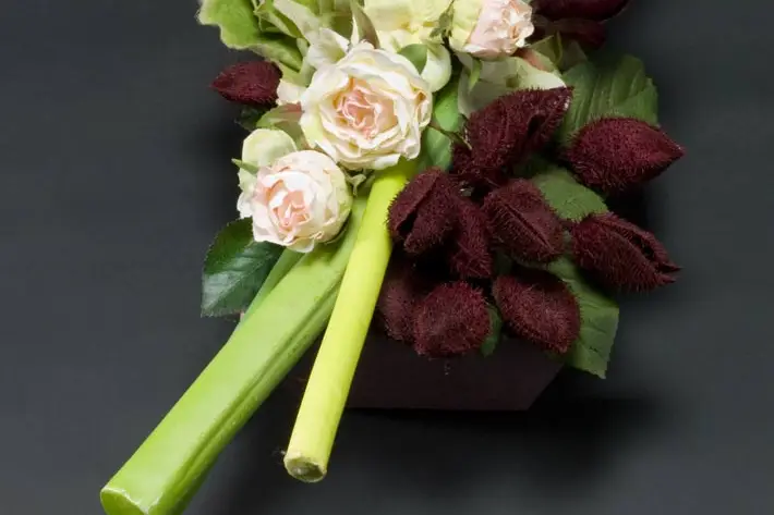 Les Jardins de Picardie — photo 5