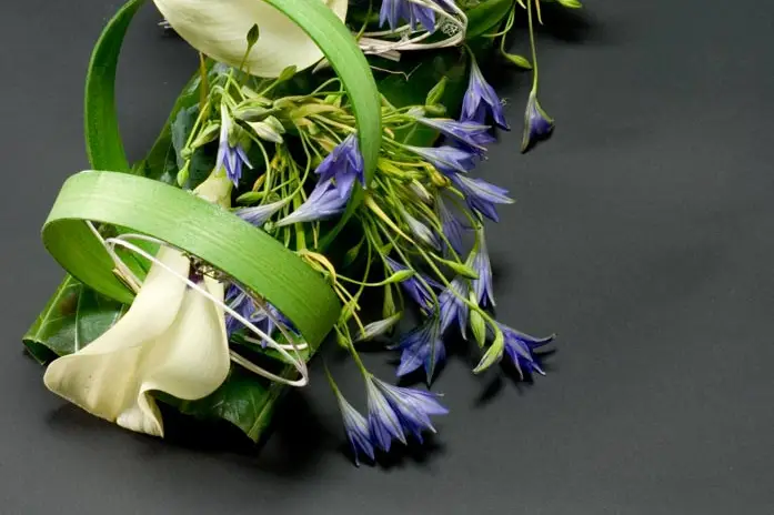 Les Jardins de Picardie — photo 6