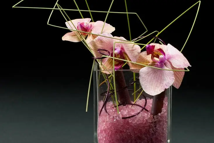 Les Jardins de Picardie — photo 7