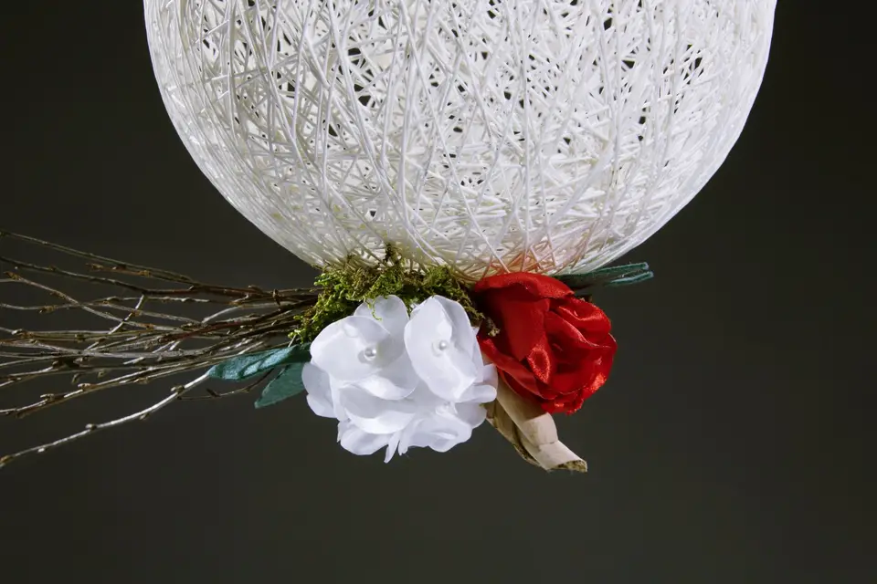 Clip d'un Jour — photo 7