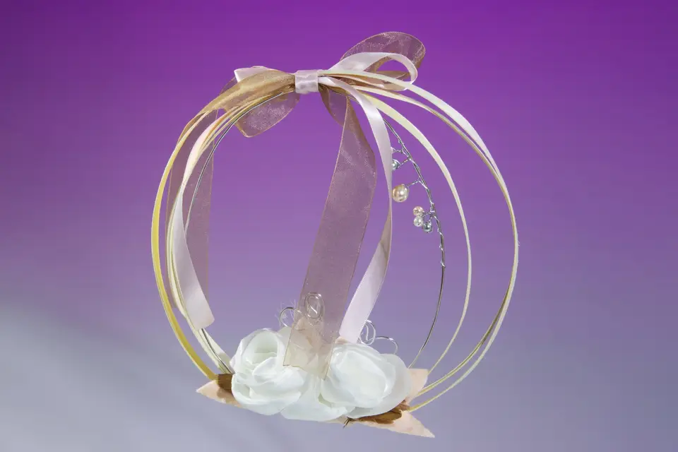 Clip d'un Jour — photo 8