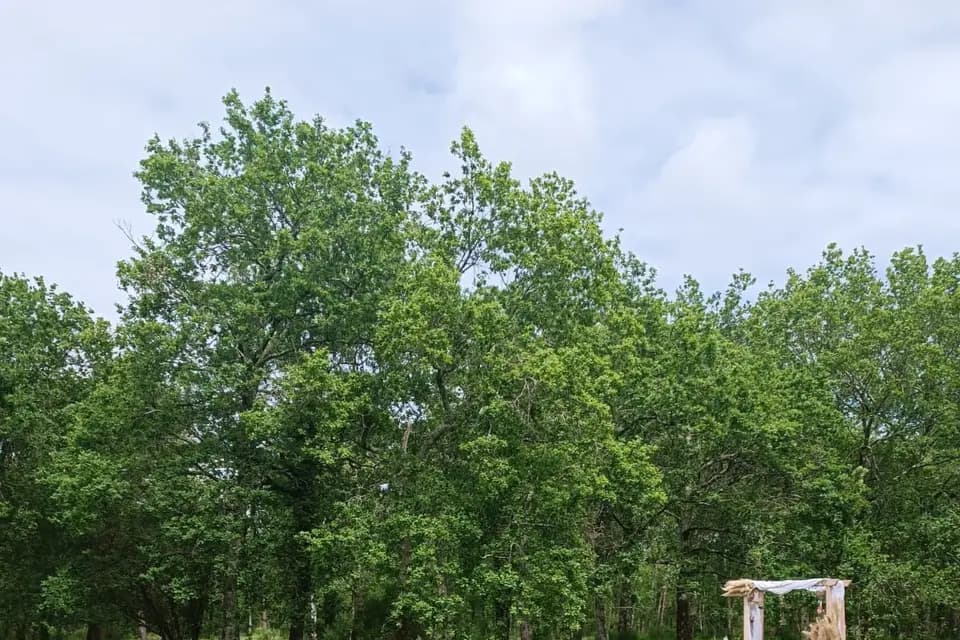 Domaine de la Forge — photo 5