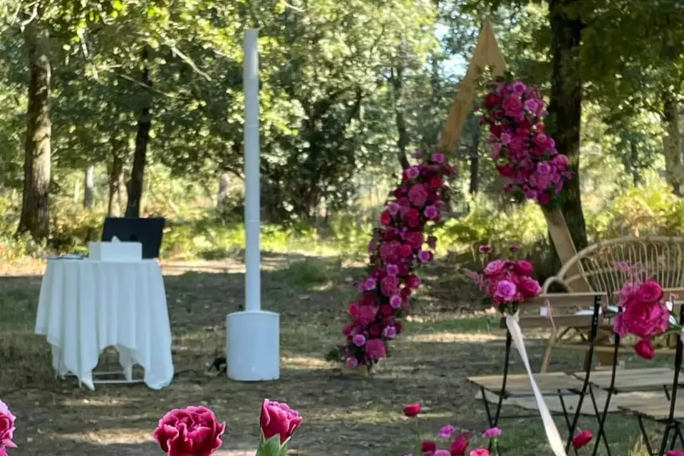 Domaine de la Forge — photo 3