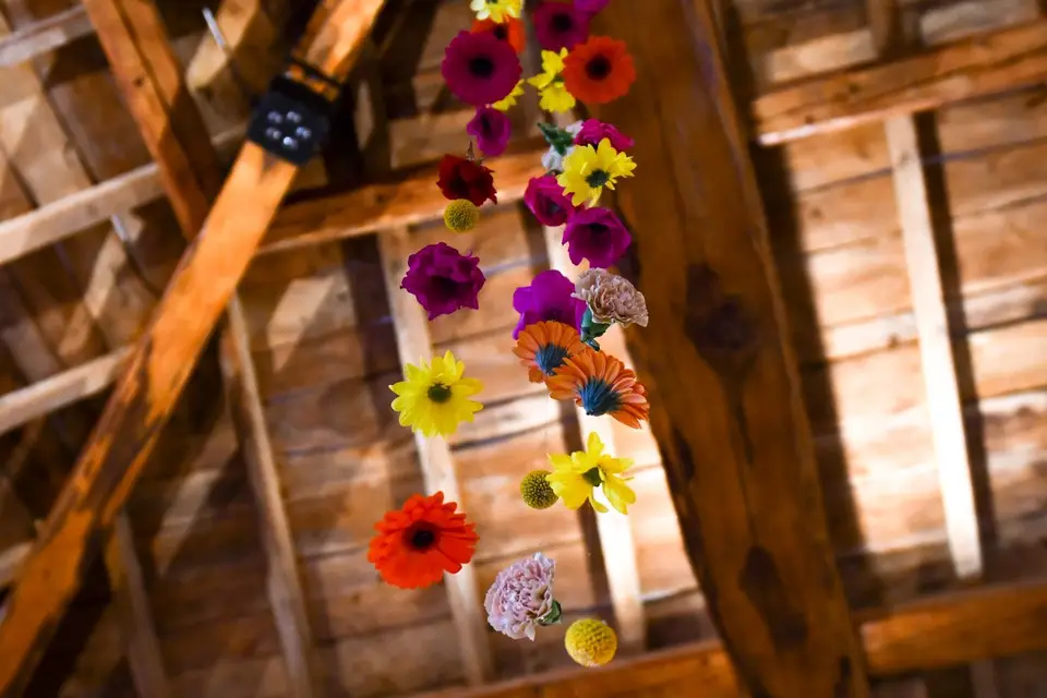 QV Déco — photo 3