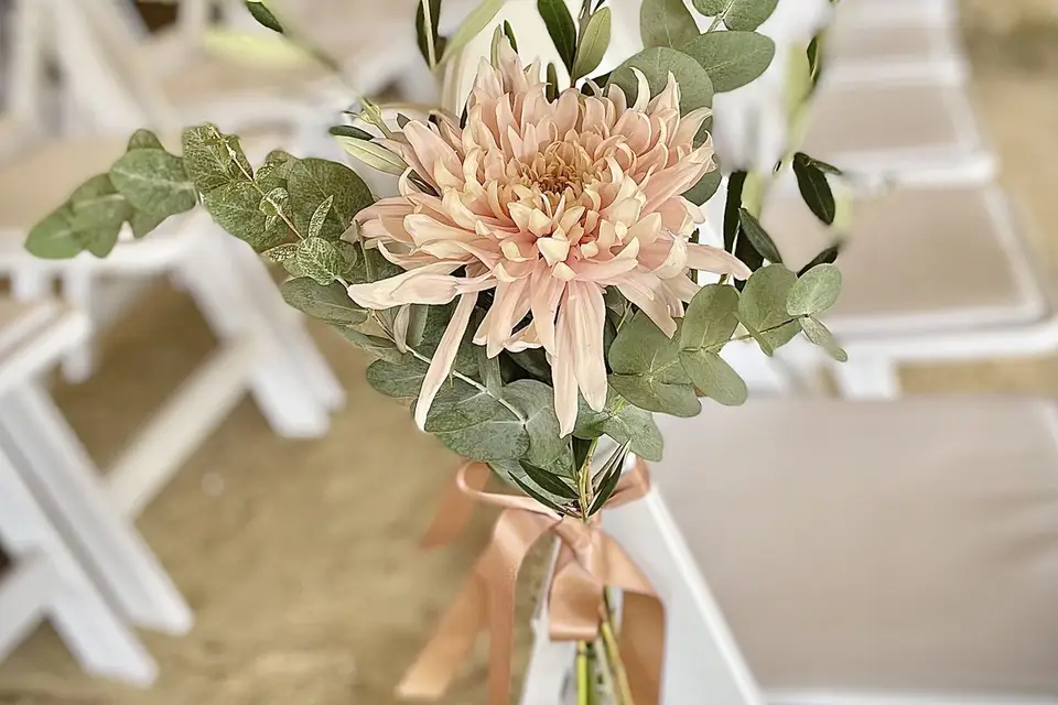 Couleur Pivoine — photo 5