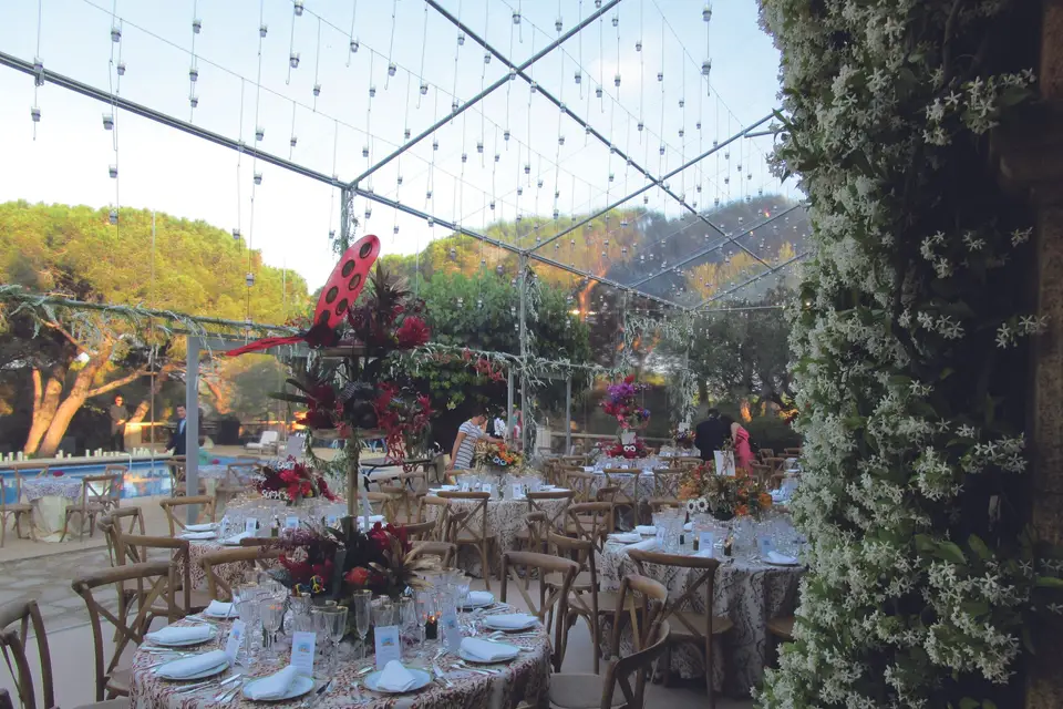 Back Events — photo 3