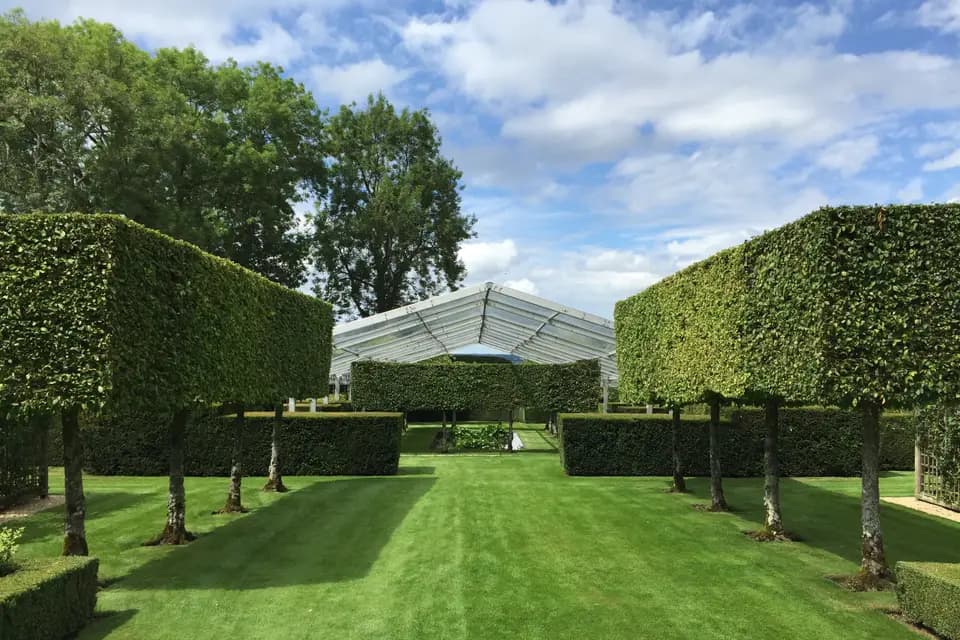 Back Events — photo 4