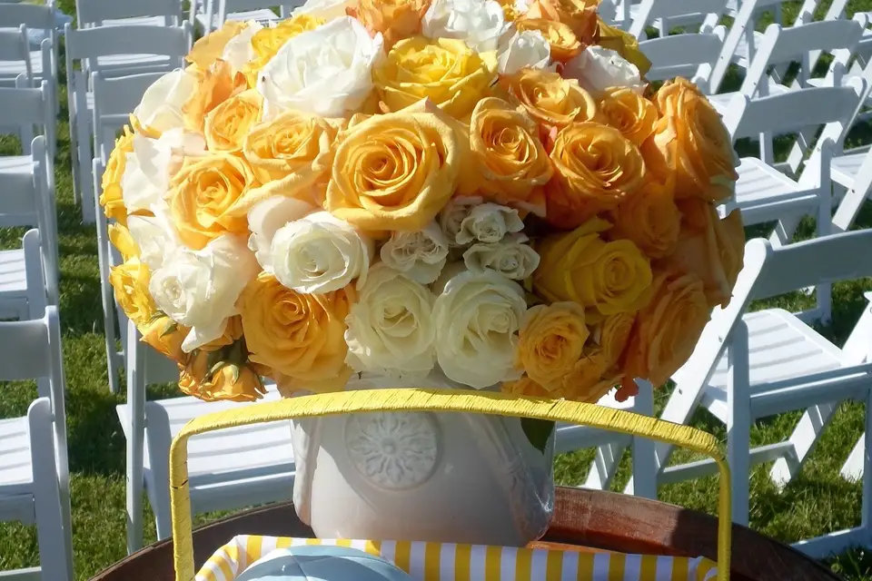 Alice Le Berre — photo 8