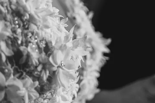 Rylo Photographie — photo 7