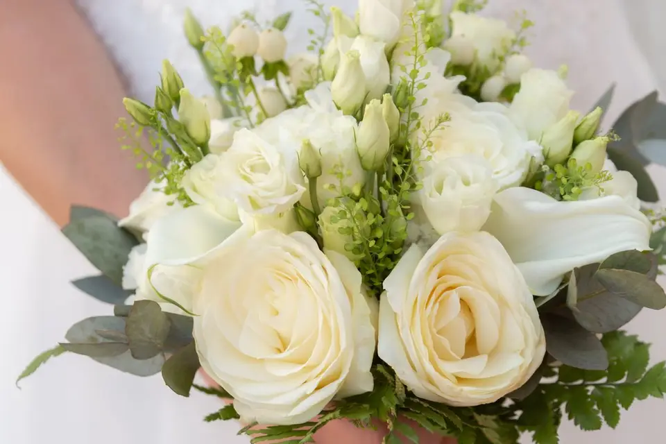 Dandeu Bruno — photo 8