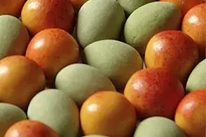 Joyeux Gourmand — photo 2