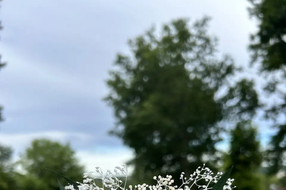 Une touche florale — photo 8