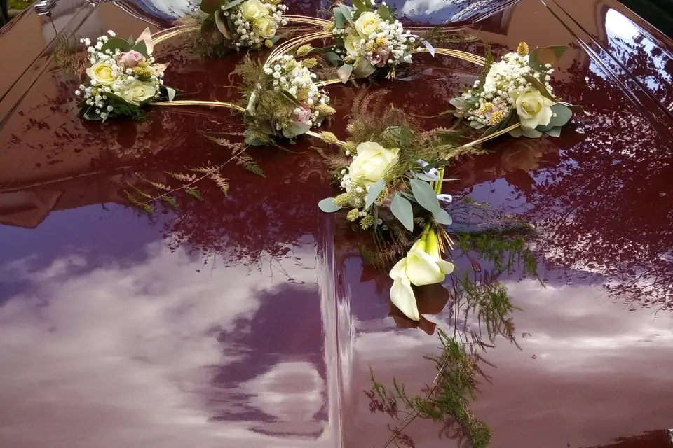 De l'Aube au Crépuscule — photo 2