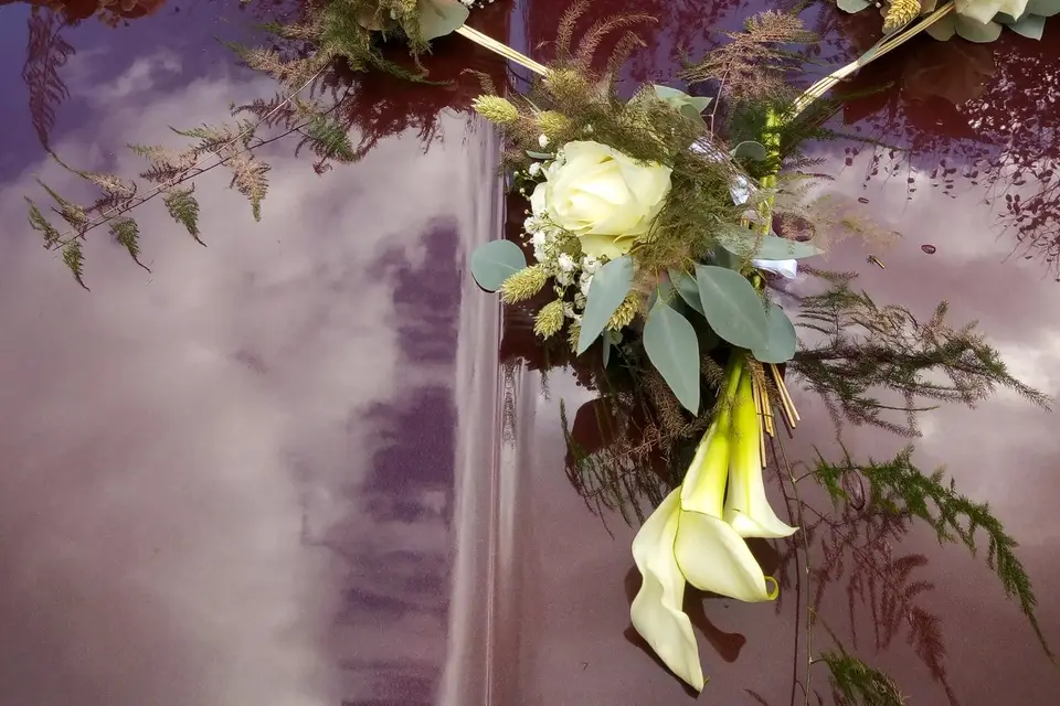 De l'Aube au Crépuscule — photo 3