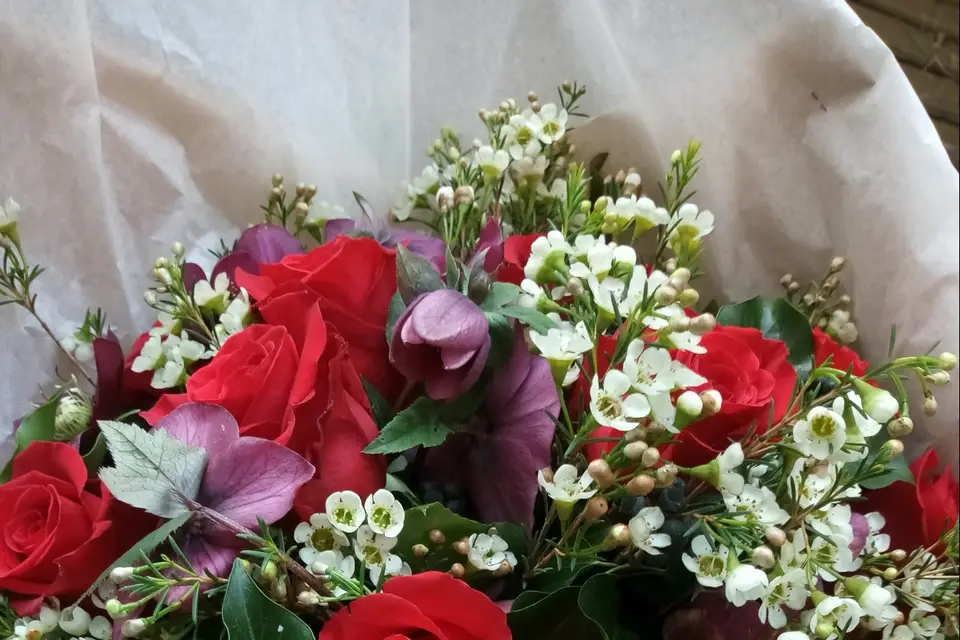 De l'Aube au Crépuscule — photo 7