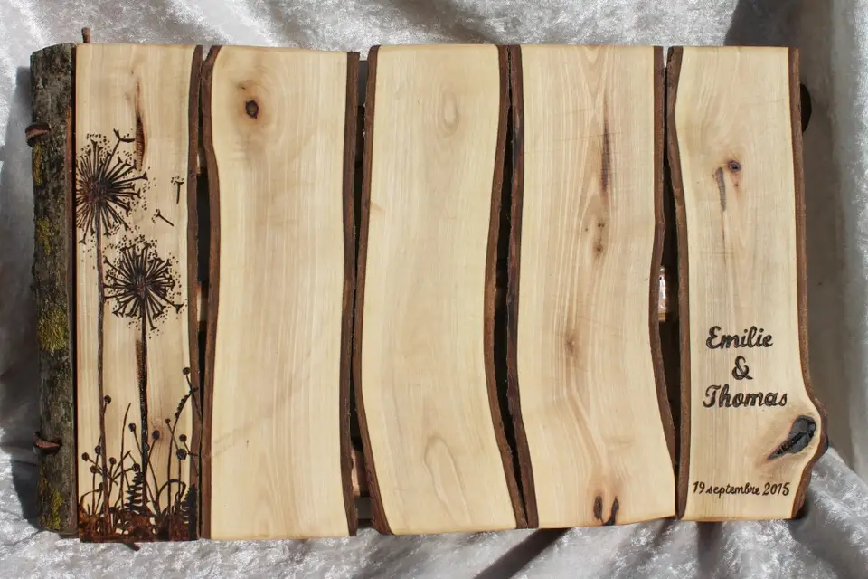 La Sève et les Racines — photo 1