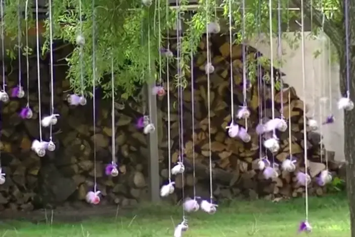 Lou Pesqué — photo 2