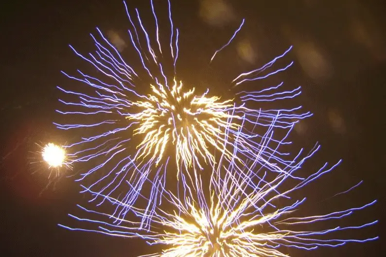 Seb Sono Animation — photo 3