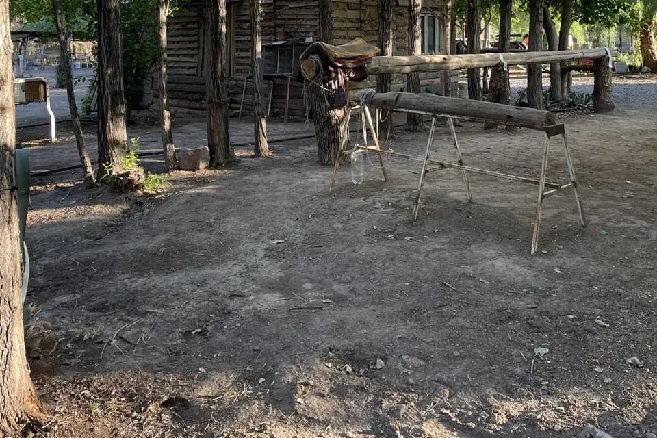 Epoca Voyages — photo 8