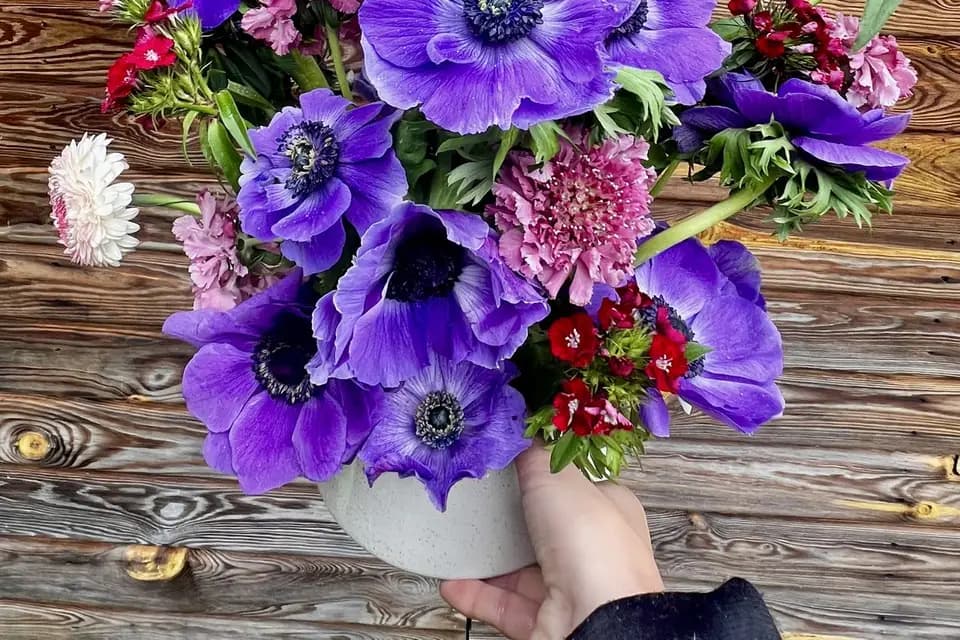 Les Pétales de Charlotte