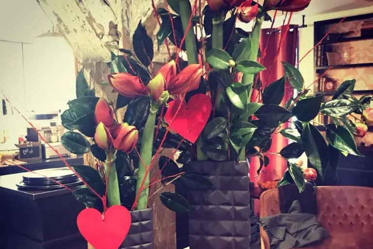 Aude Essner — photo 2