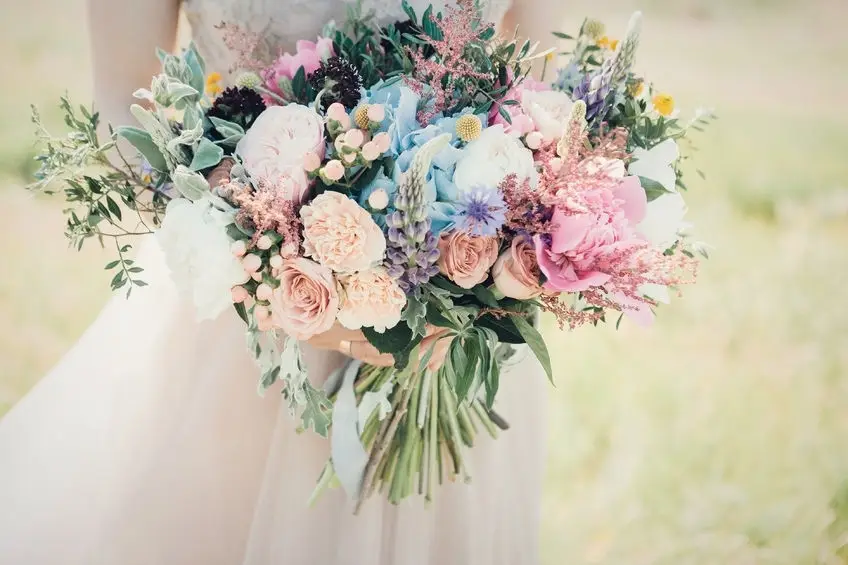 Emotions et Tralala — photo 1