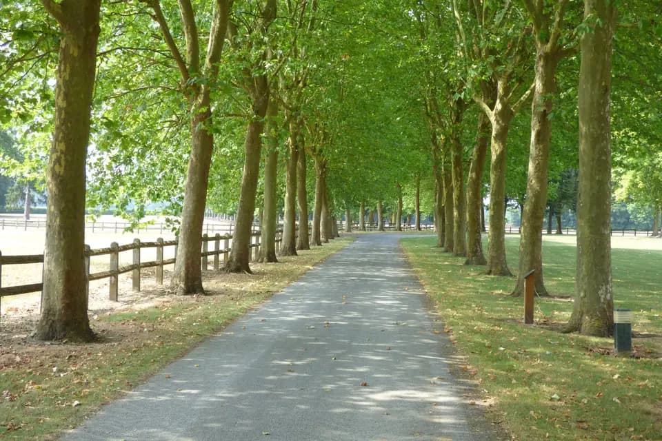 Domaine de Sainte-Claire — photo 4