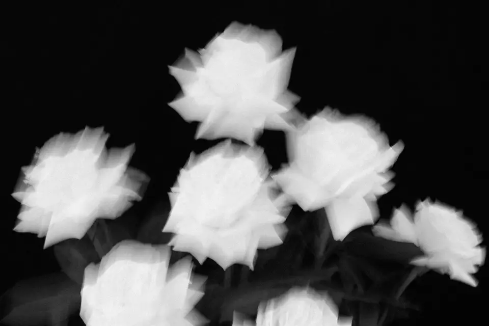 Jérémy Schmit — photo 7