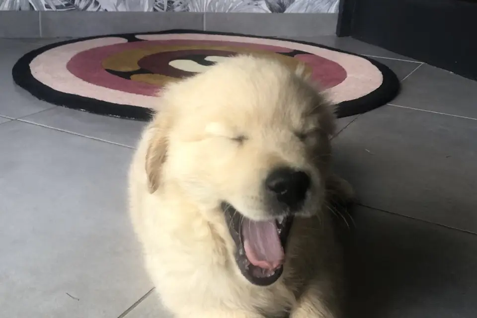 Ma Déco — photo 5