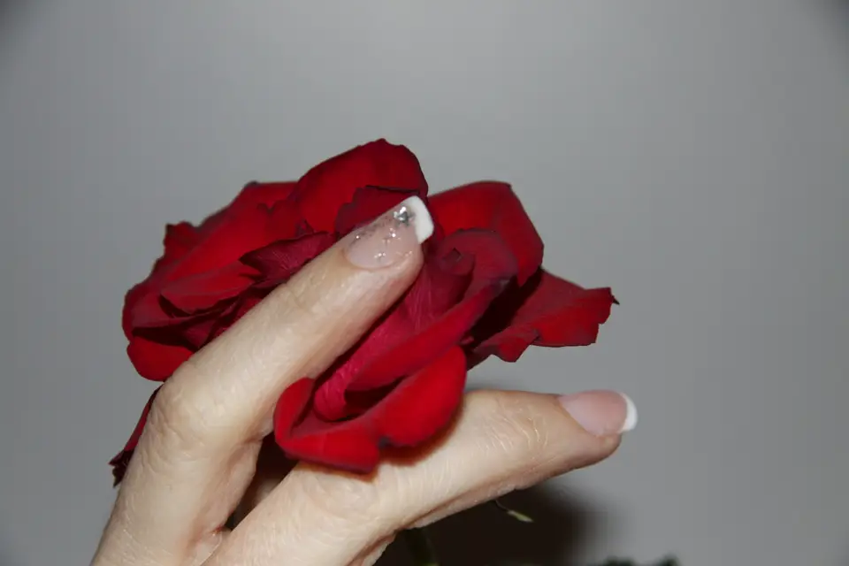 Beauté des Ongles — photo 3