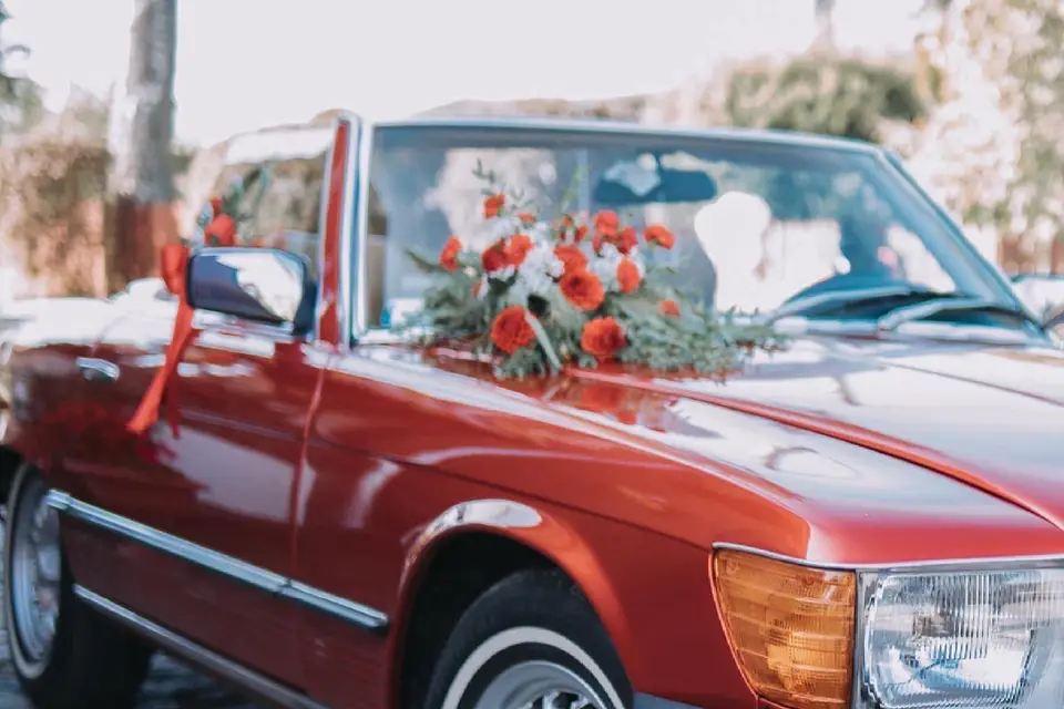 Event Ewa — photo 7