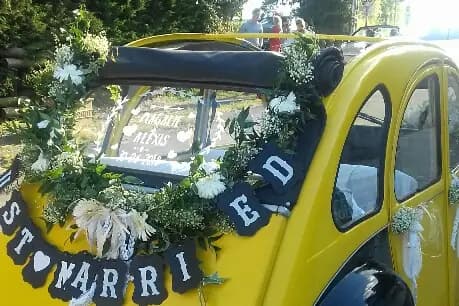 Les Étangs de Guibert — photo 5