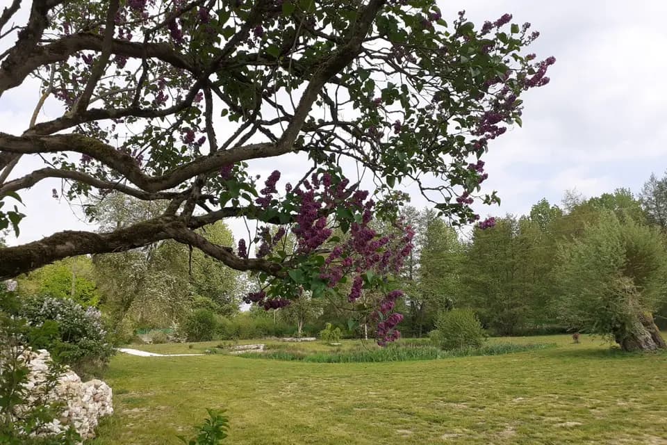 Domaine des Saules — photo 6