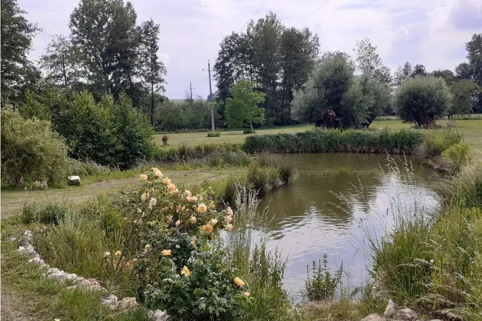 Domaine des Saules — photo 7