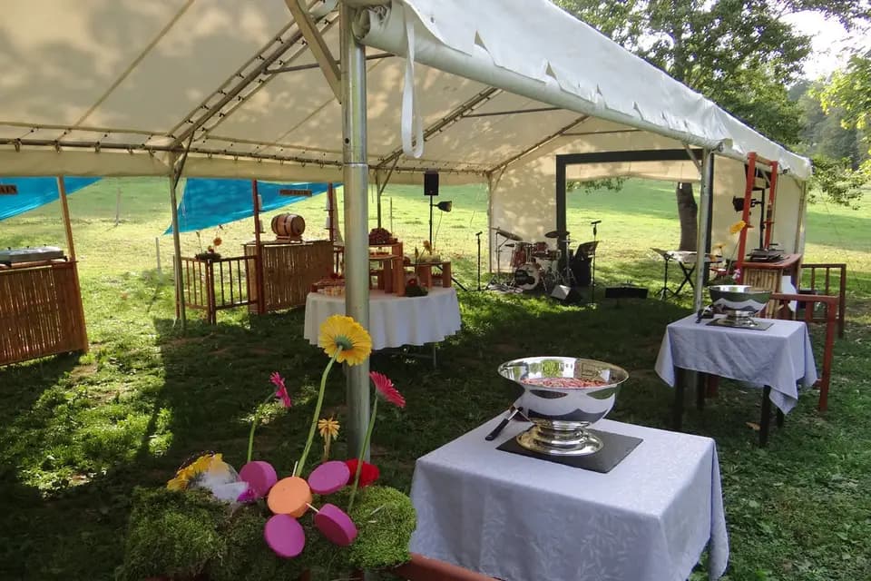 Château de la Hille — photo 6