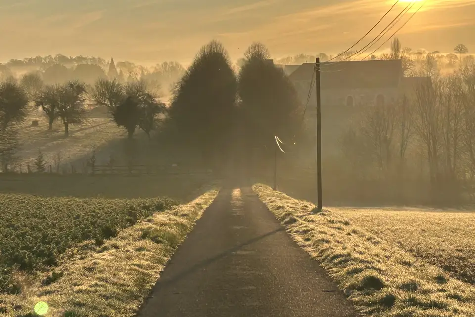 Domaine de la Revardiere — photo 4